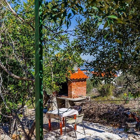 סלאטינה Apartments Stara Maslina מראה חיצוני תמונה